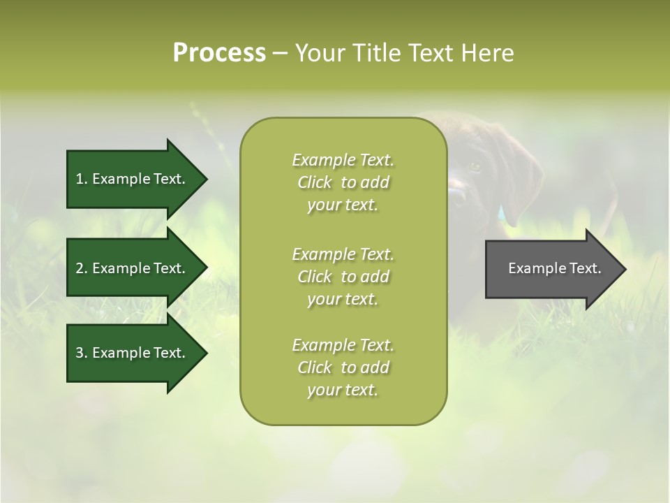 Chocolate Lawn Young PowerPoint Template