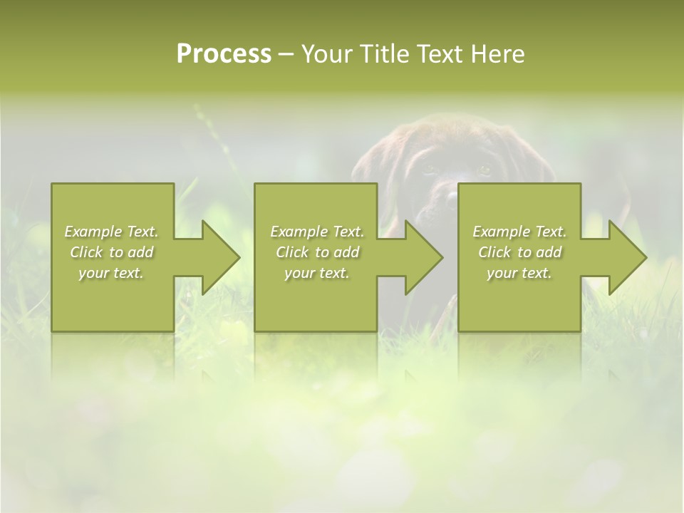 Chocolate Lawn Young PowerPoint Template