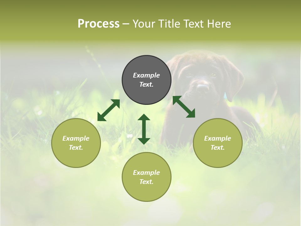 Chocolate Lawn Young PowerPoint Template