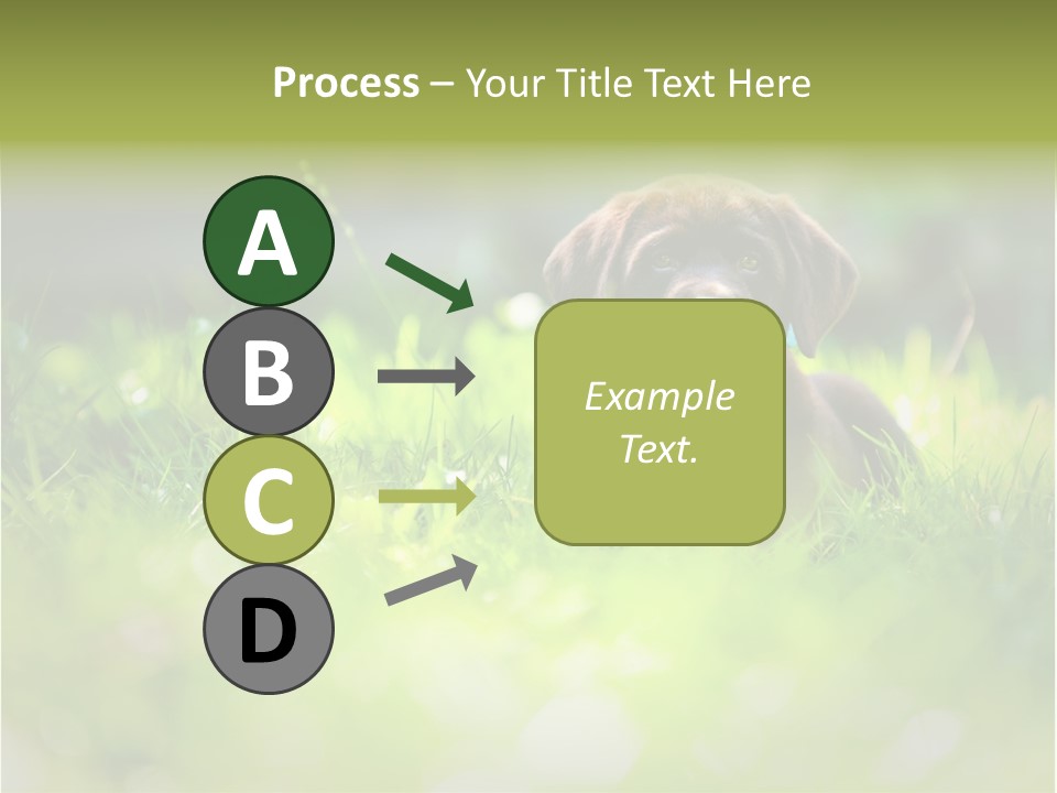 Chocolate Lawn Young PowerPoint Template