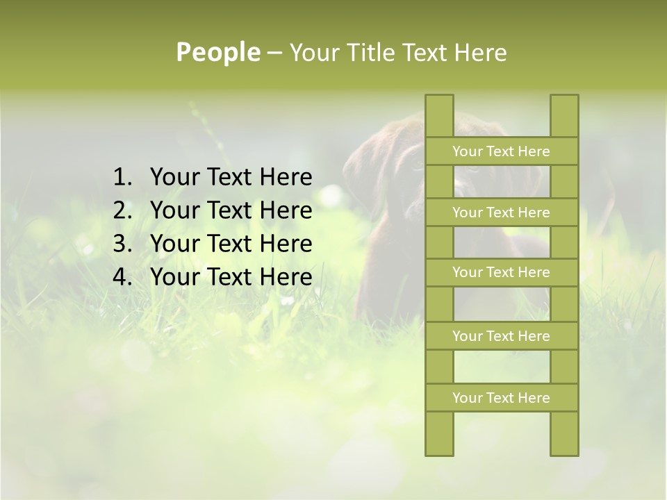 Chocolate Lawn Young PowerPoint Template