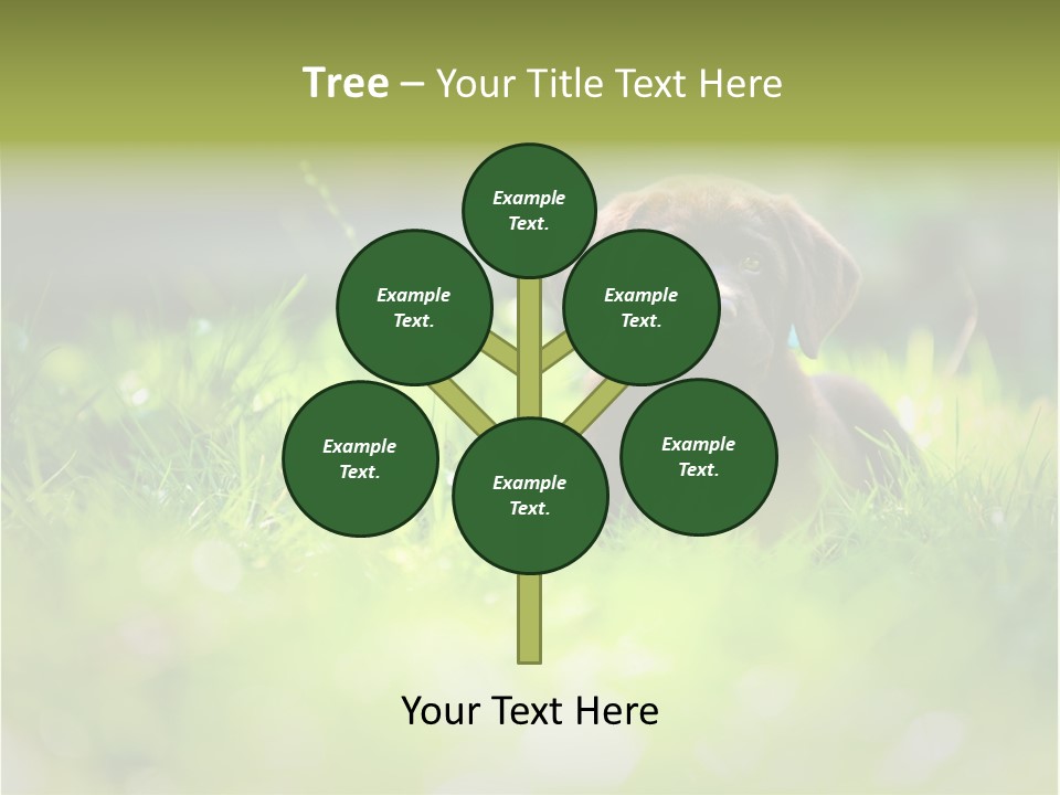 Chocolate Lawn Young PowerPoint Template