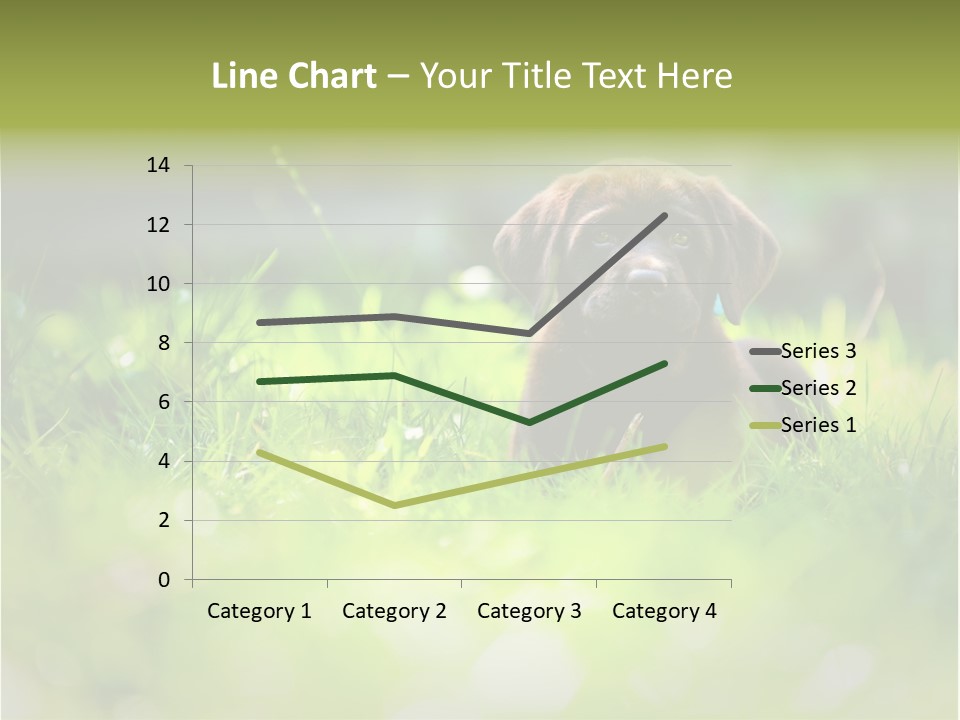 Chocolate Lawn Young PowerPoint Template