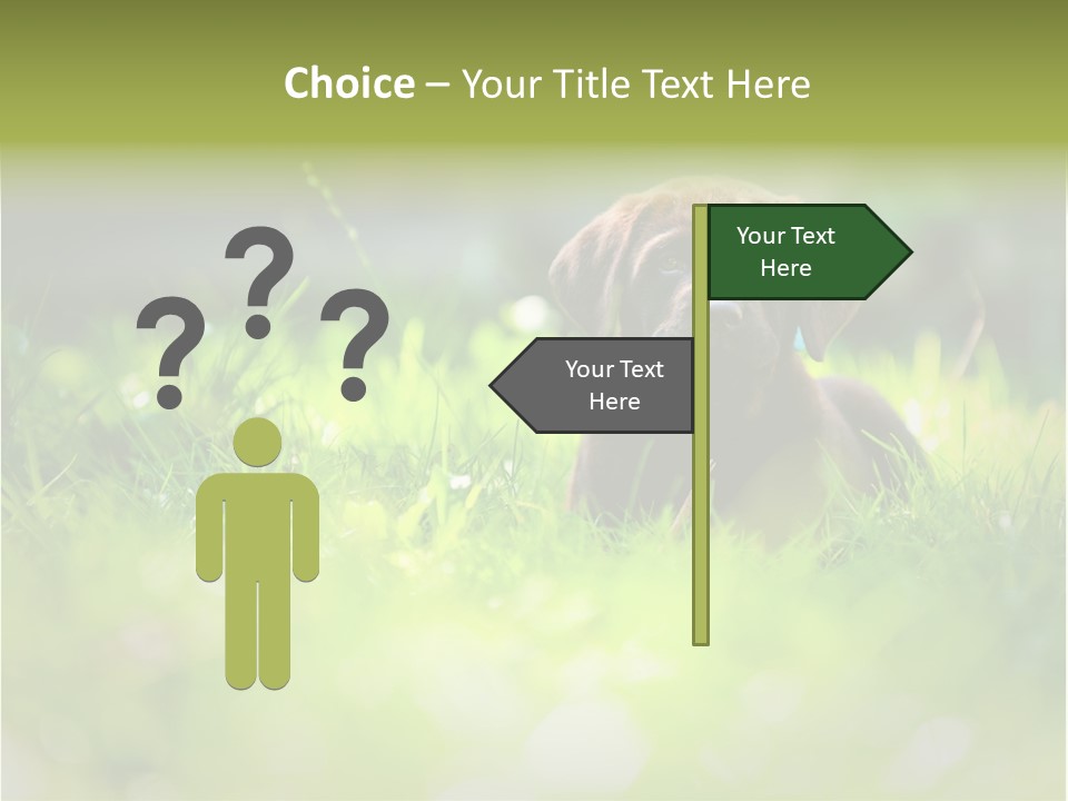 Chocolate Lawn Young PowerPoint Template