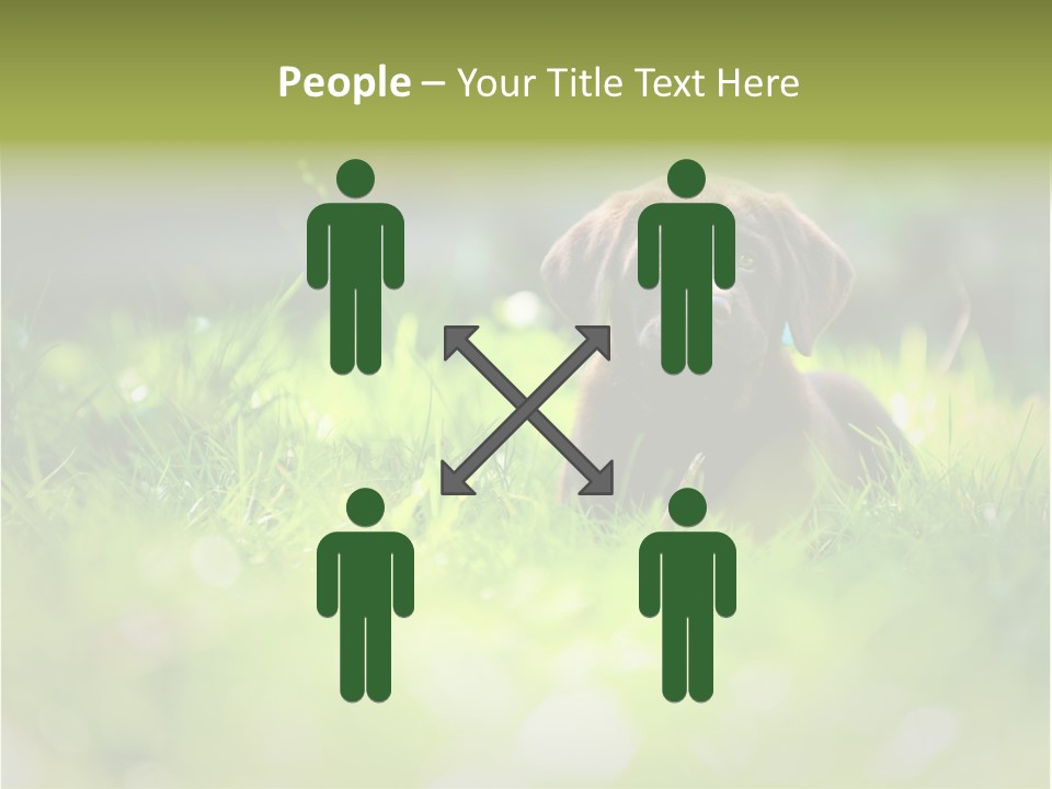 Chocolate Lawn Young PowerPoint Template