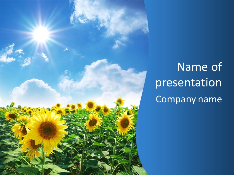 Flower Sunny Agriculture PowerPoint Template