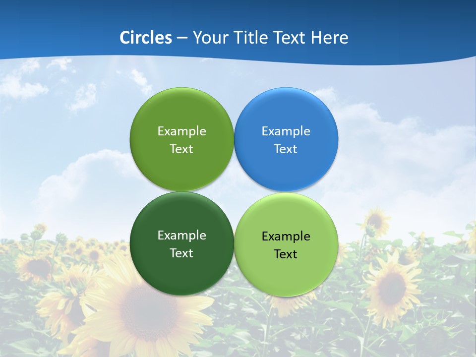 Flower Sunny Agriculture PowerPoint Template