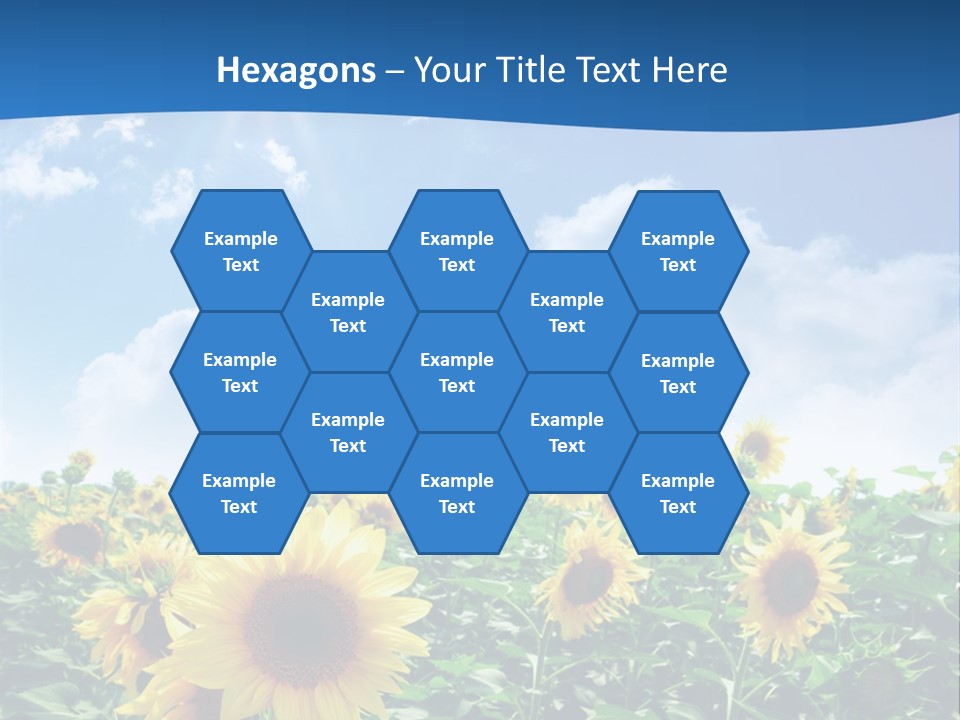 Flower Sunny Agriculture PowerPoint Template