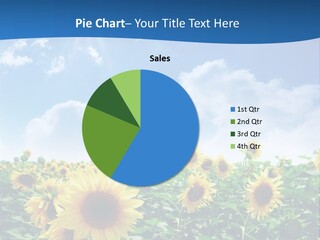 Flower Sunny Agriculture PowerPoint Template