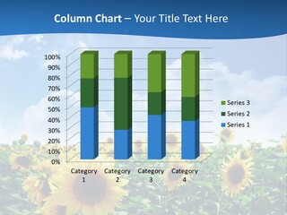 Flower Sunny Agriculture PowerPoint Template