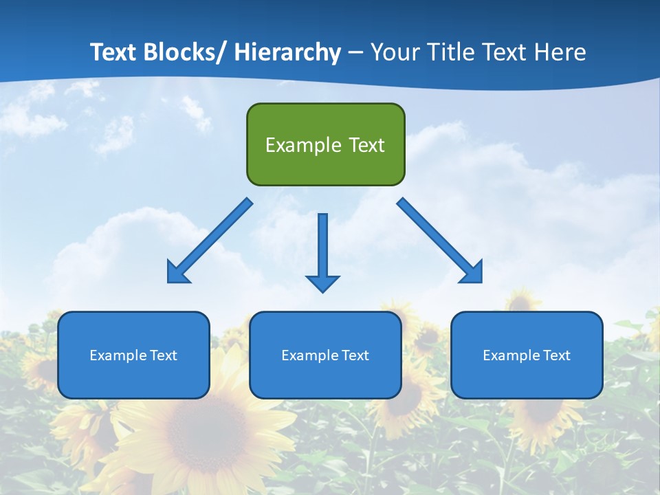Flower Sunny Agriculture PowerPoint Template