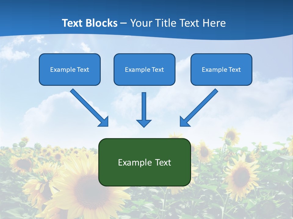 Flower Sunny Agriculture PowerPoint Template