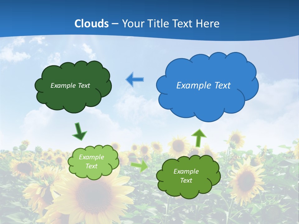 Flower Sunny Agriculture PowerPoint Template