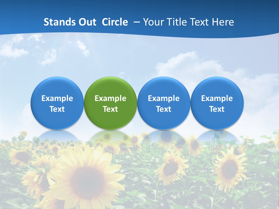 Flower Sunny Agriculture PowerPoint Template