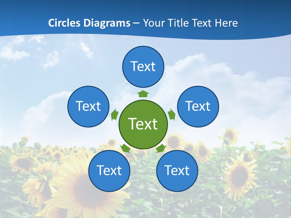 Flower Sunny Agriculture PowerPoint Template