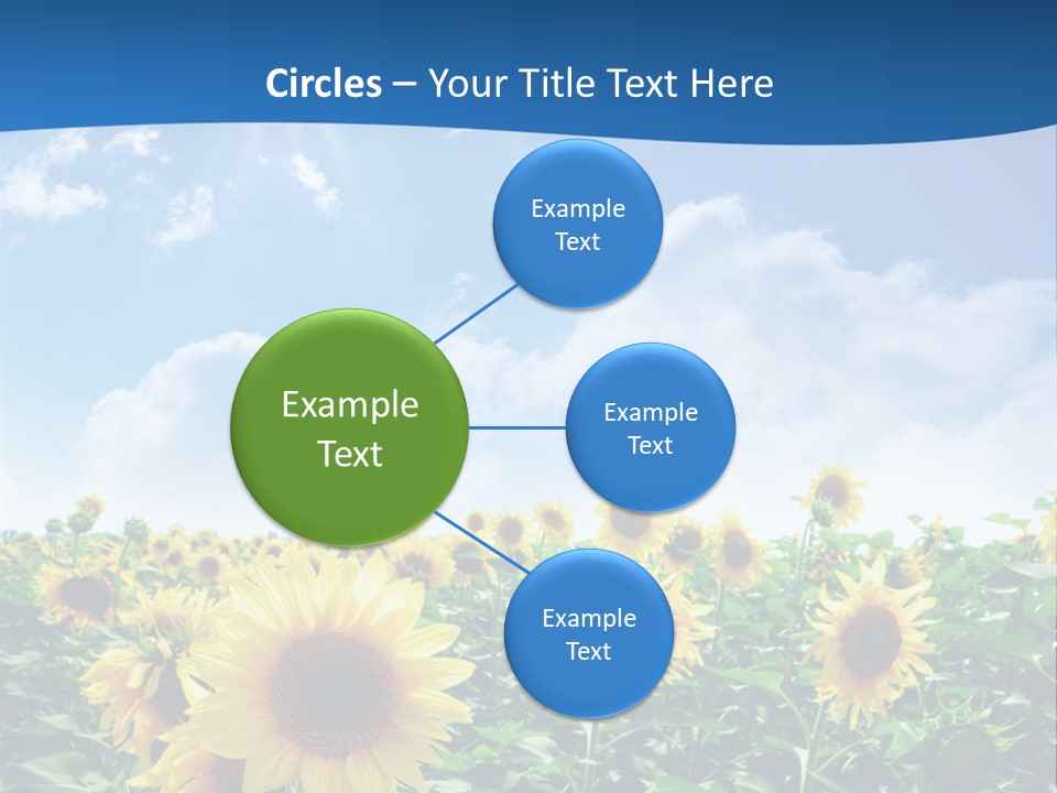 Flower Sunny Agriculture PowerPoint Template