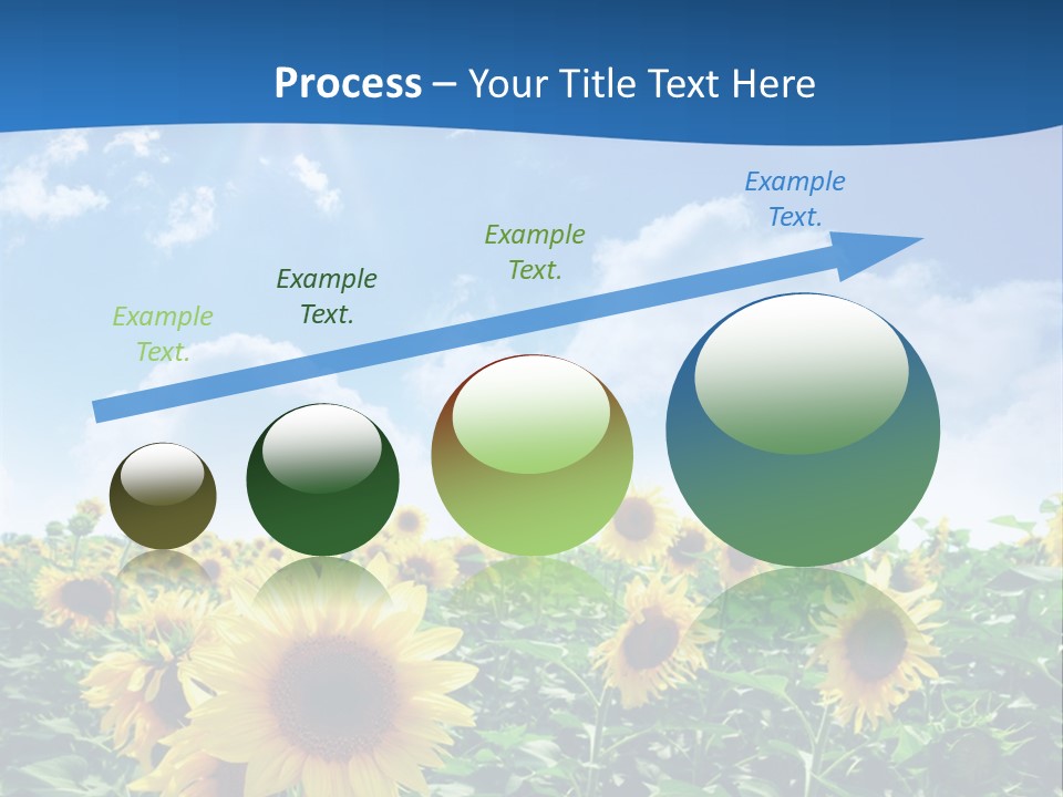 Flower Sunny Agriculture PowerPoint Template