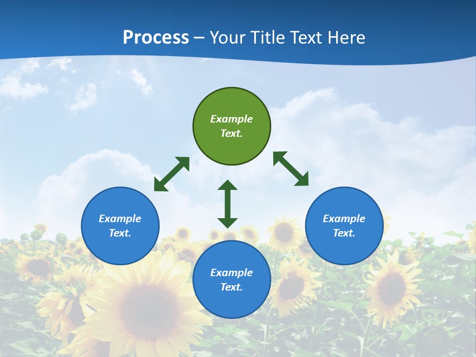 Flower Sunny Agriculture PowerPoint Template