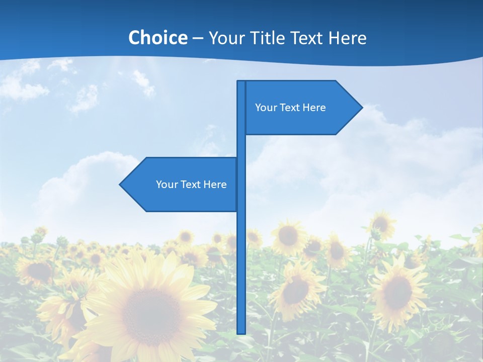 Flower Sunny Agriculture PowerPoint Template