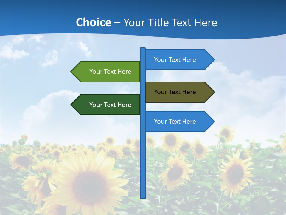 Flower Sunny Agriculture PowerPoint Template