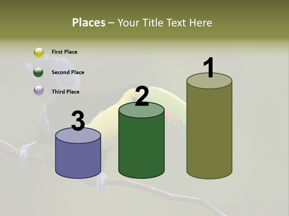 Outdoors Nicaragua Rainforest PowerPoint Template