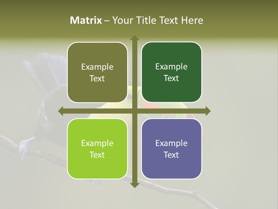 Outdoors Nicaragua Rainforest PowerPoint Template