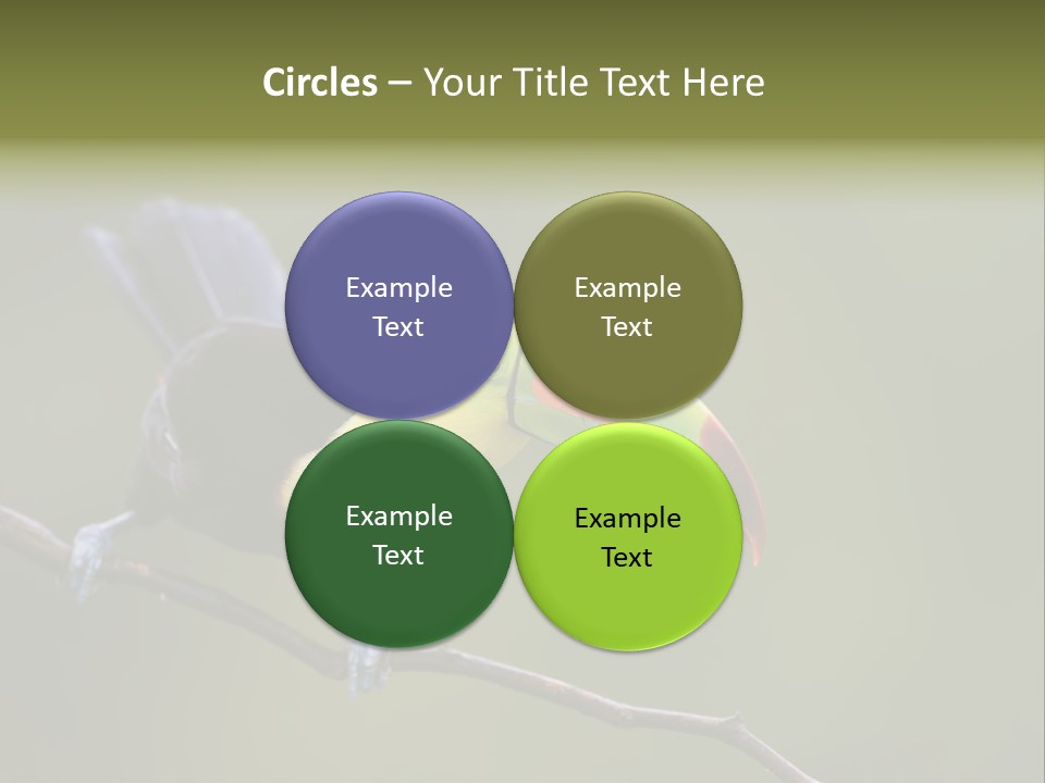 Outdoors Nicaragua Rainforest PowerPoint Template