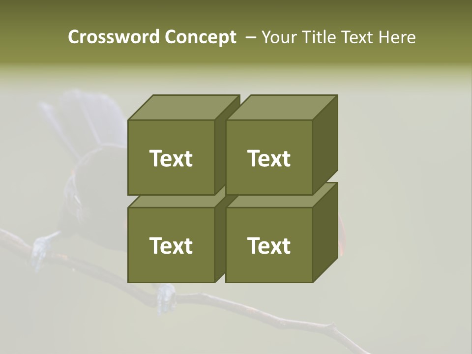 Outdoors Nicaragua Rainforest PowerPoint Template