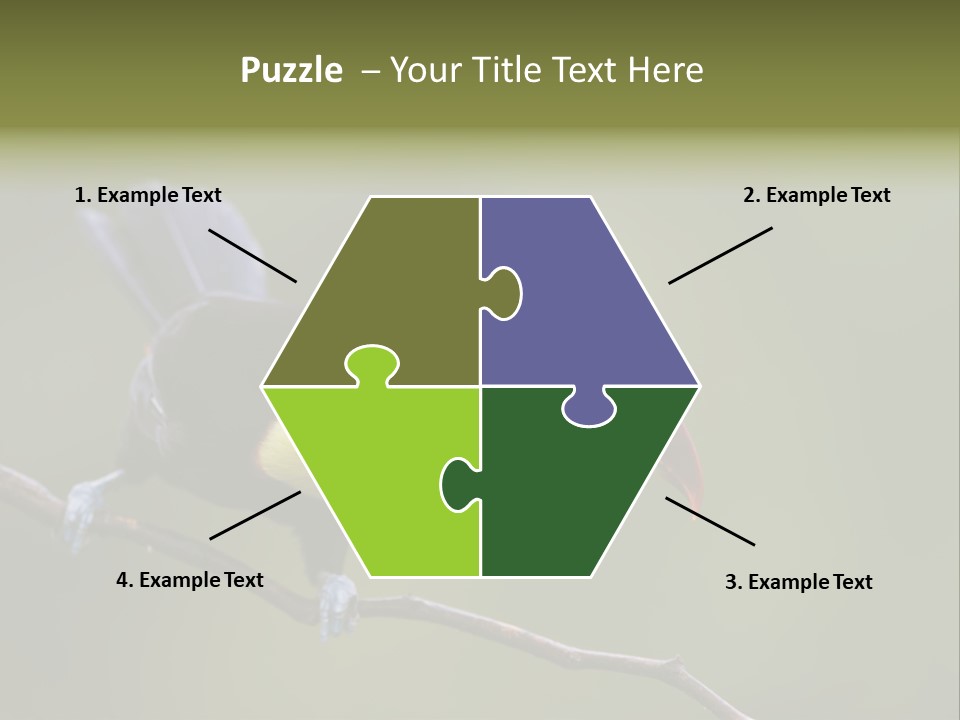 Outdoors Nicaragua Rainforest PowerPoint Template