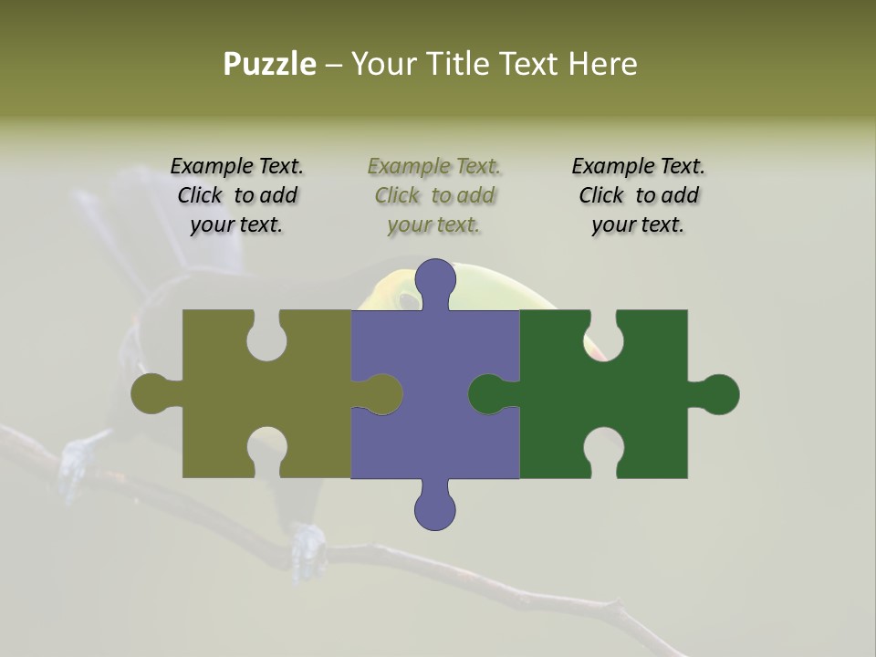 Outdoors Nicaragua Rainforest PowerPoint Template