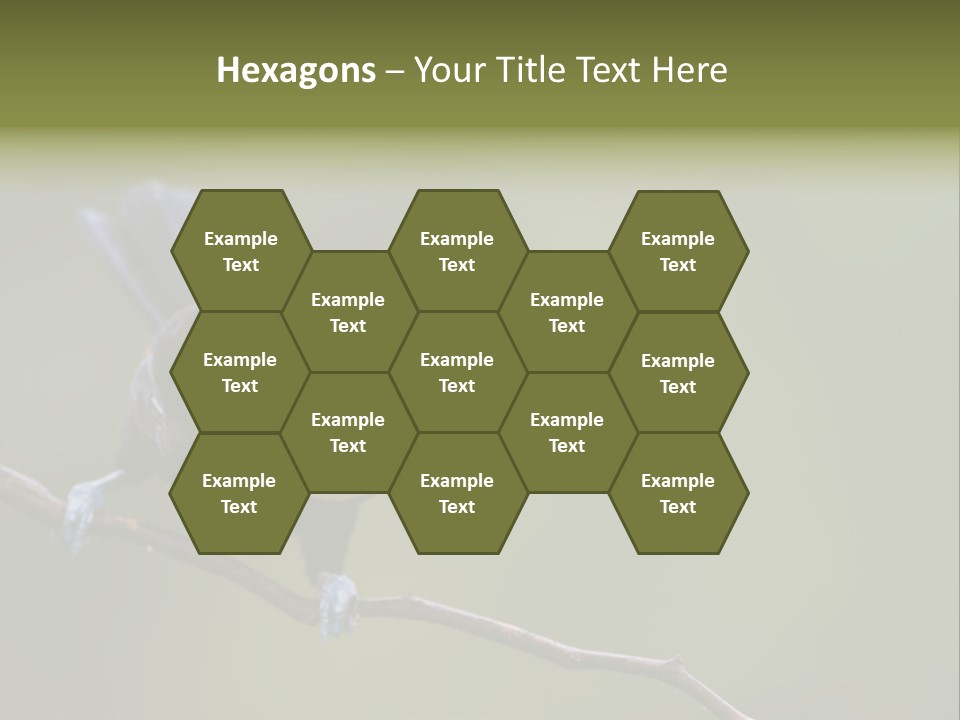 Outdoors Nicaragua Rainforest PowerPoint Template