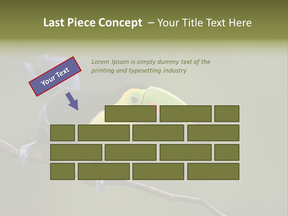 Outdoors Nicaragua Rainforest PowerPoint Template