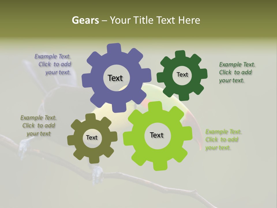 Outdoors Nicaragua Rainforest PowerPoint Template