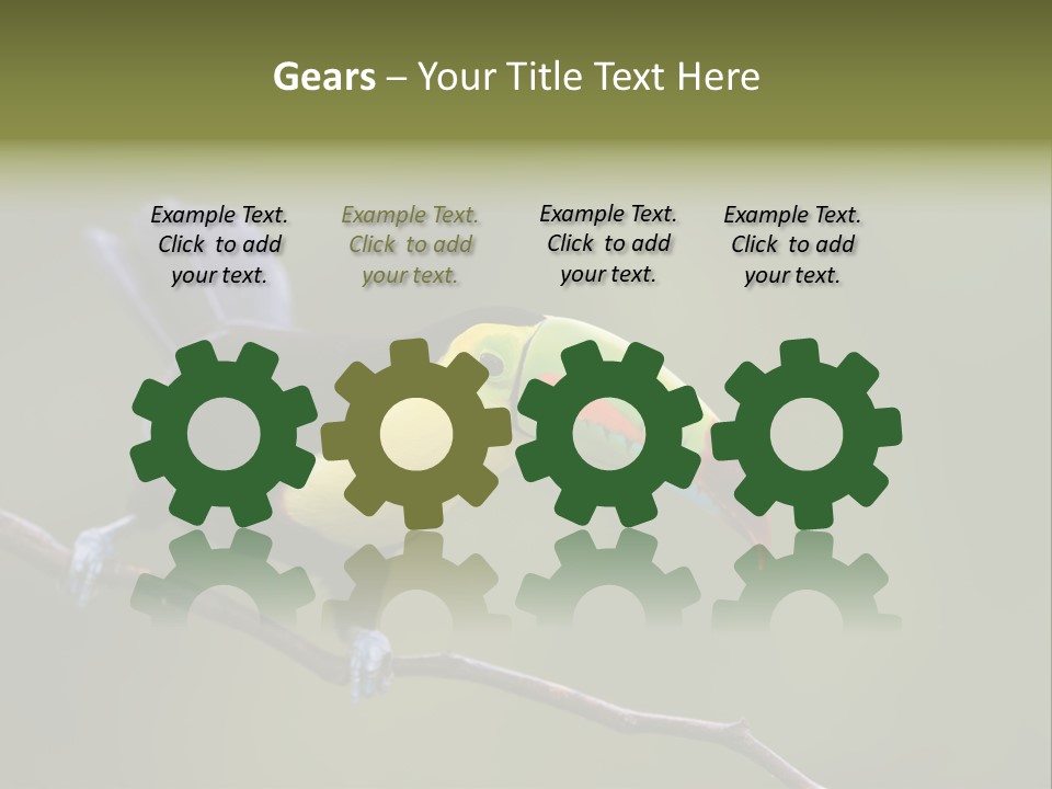 Outdoors Nicaragua Rainforest PowerPoint Template