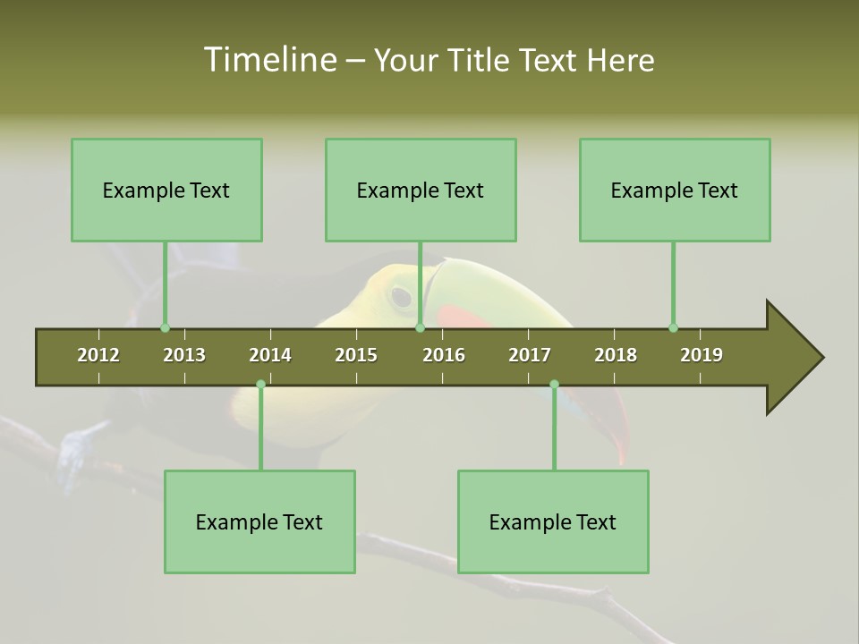 Outdoors Nicaragua Rainforest PowerPoint Template