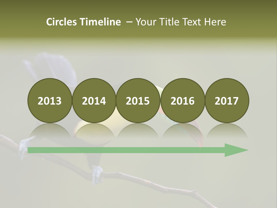 Outdoors Nicaragua Rainforest PowerPoint Template