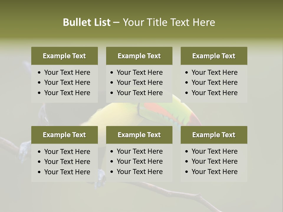 Outdoors Nicaragua Rainforest PowerPoint Template