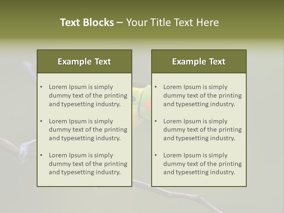 Outdoors Nicaragua Rainforest PowerPoint Template