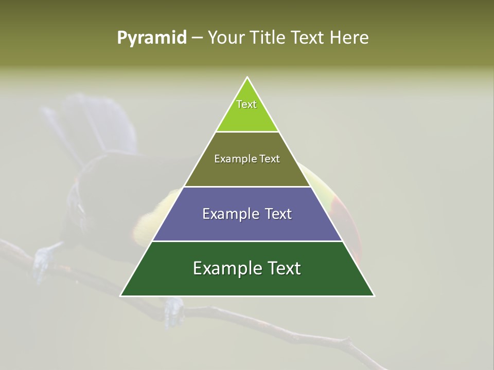Outdoors Nicaragua Rainforest PowerPoint Template