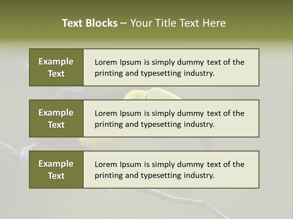 Outdoors Nicaragua Rainforest PowerPoint Template
