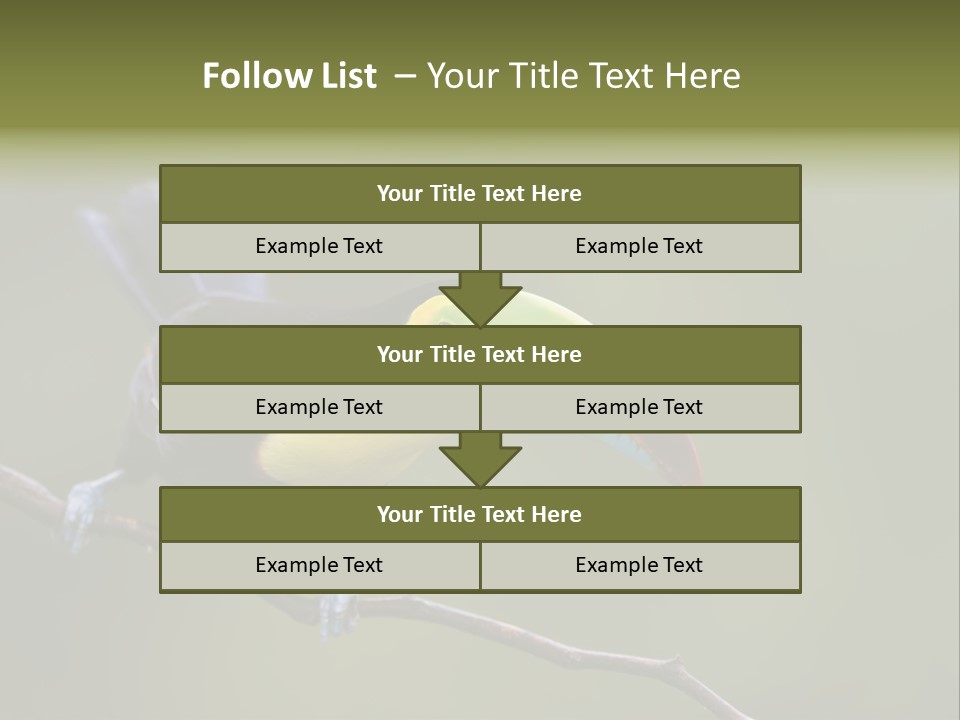 Outdoors Nicaragua Rainforest PowerPoint Template
