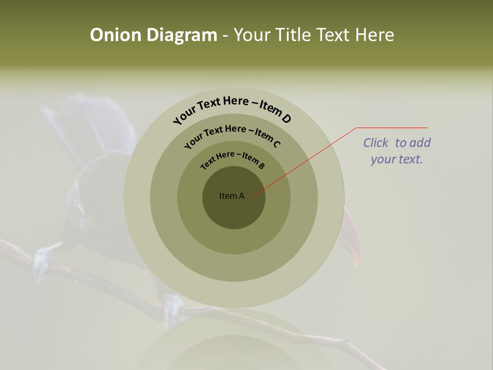 Outdoors Nicaragua Rainforest PowerPoint Template