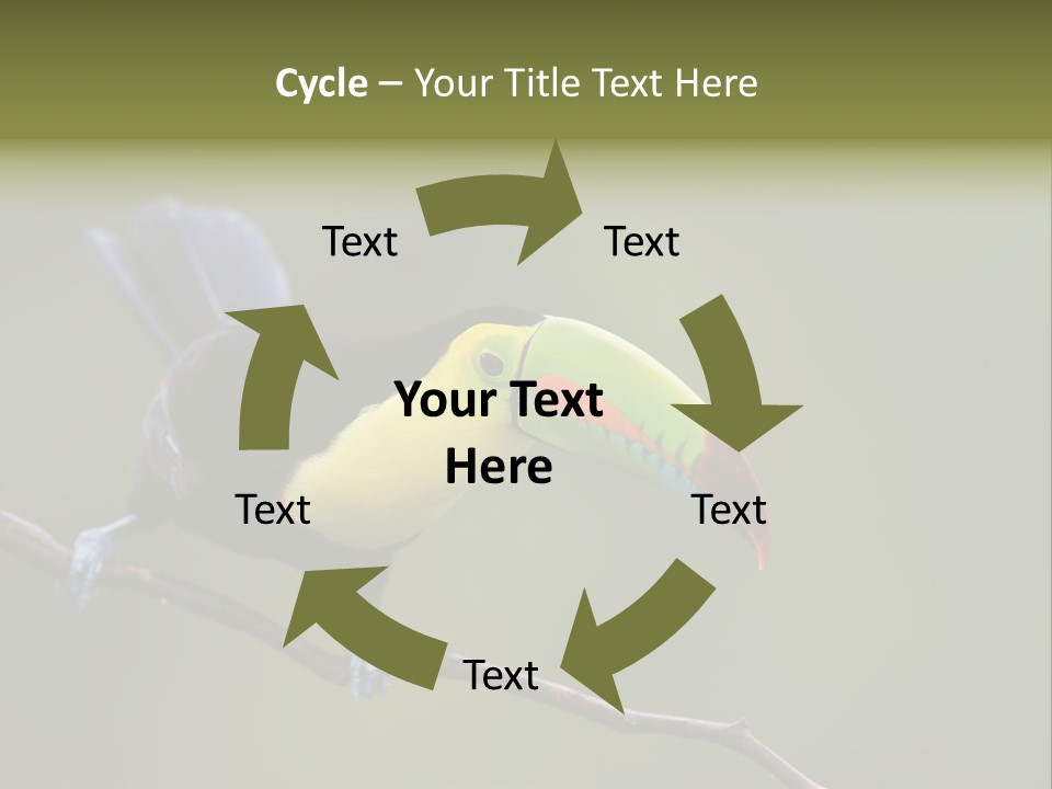 Outdoors Nicaragua Rainforest PowerPoint Template
