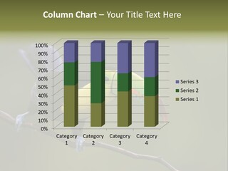 Outdoors Nicaragua Rainforest PowerPoint Template