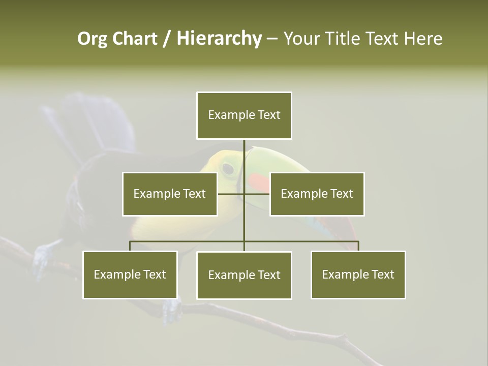 Outdoors Nicaragua Rainforest PowerPoint Template