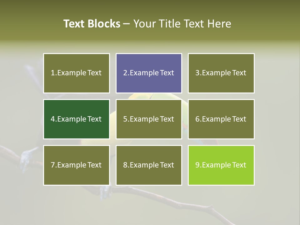 Outdoors Nicaragua Rainforest PowerPoint Template
