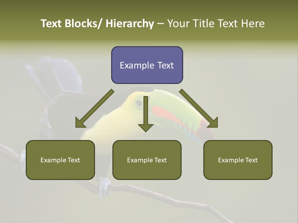 Outdoors Nicaragua Rainforest PowerPoint Template
