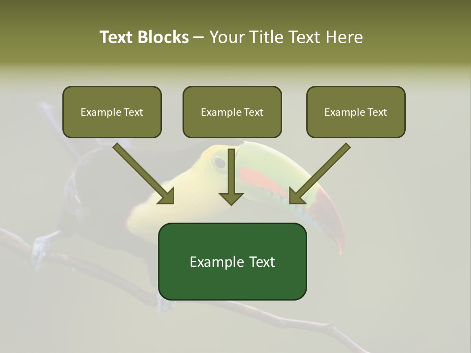 Outdoors Nicaragua Rainforest PowerPoint Template