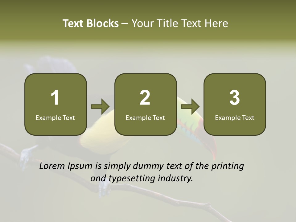 Outdoors Nicaragua Rainforest PowerPoint Template