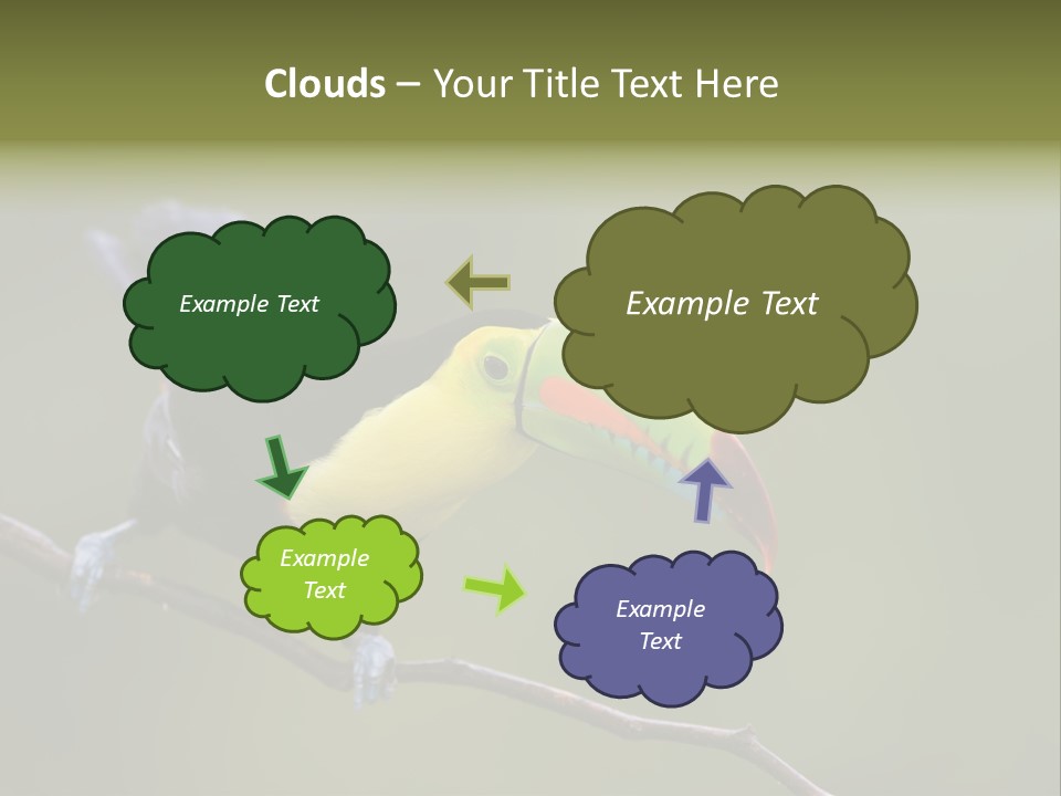 Outdoors Nicaragua Rainforest PowerPoint Template